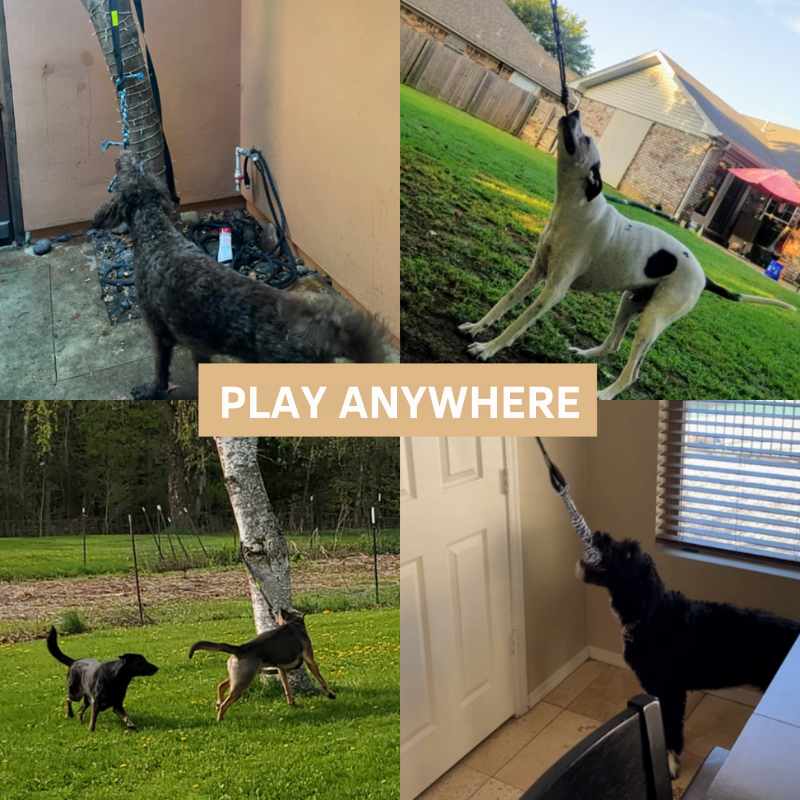 Interaktiv hundleksak: garanterad underhållning! 