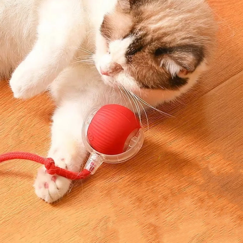 لعبة قفز للقطط النشيطة والفضولية 