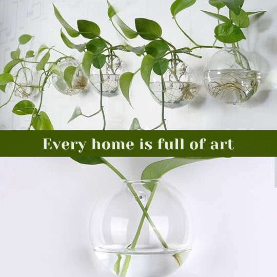 Destaca tus plantas en tus paredes, sin perforar 