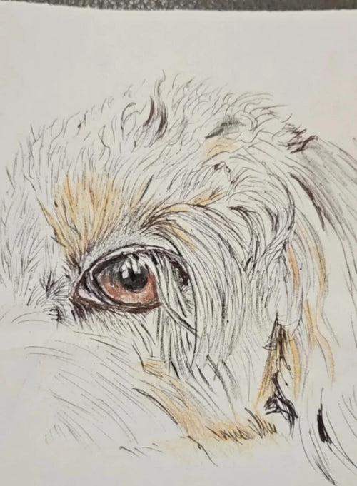 Kit d'Aquarelle — photo d'un client 1